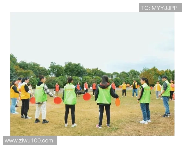 飞盘竞技新视角：深入分析北京飞盘队的速度与战术策略