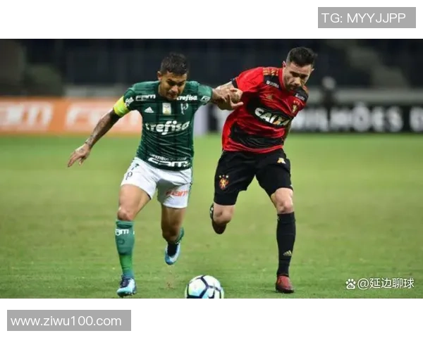 圣保罗与帕梅拉斯激战正酣直播盛况全程回顾与精彩瞬间解析